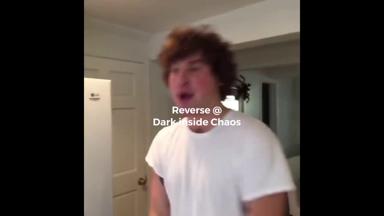 Rainbow Quest vines that will cure sadness caused by character death (not clean)