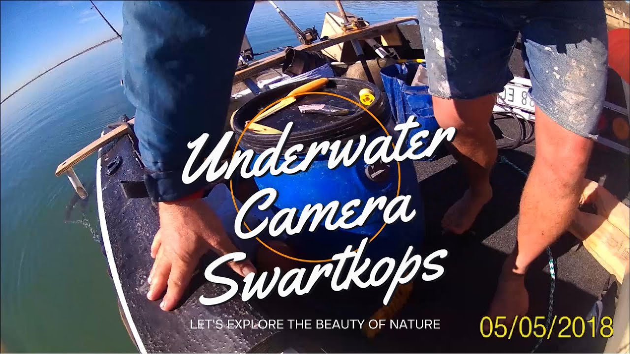 Dropping an underwater camera off a boat in the Swartkops River