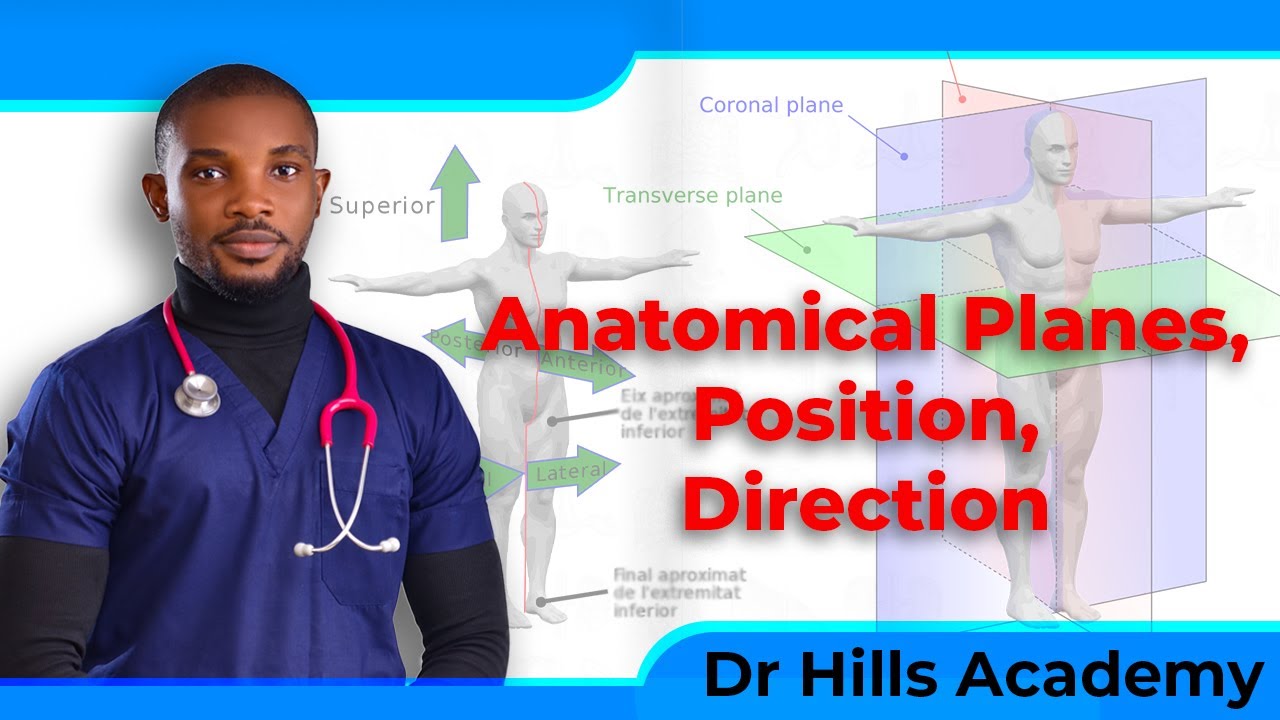 Anatomical Position, Planes, Sections, Regional Terms, Terms of Direction and Movement