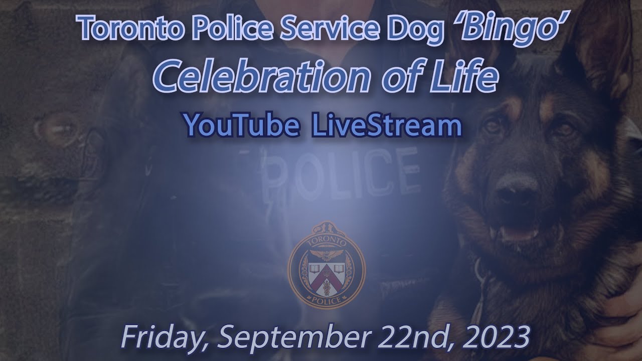 Bingo - Celebration of Life | Friday, September 22nd, 2023