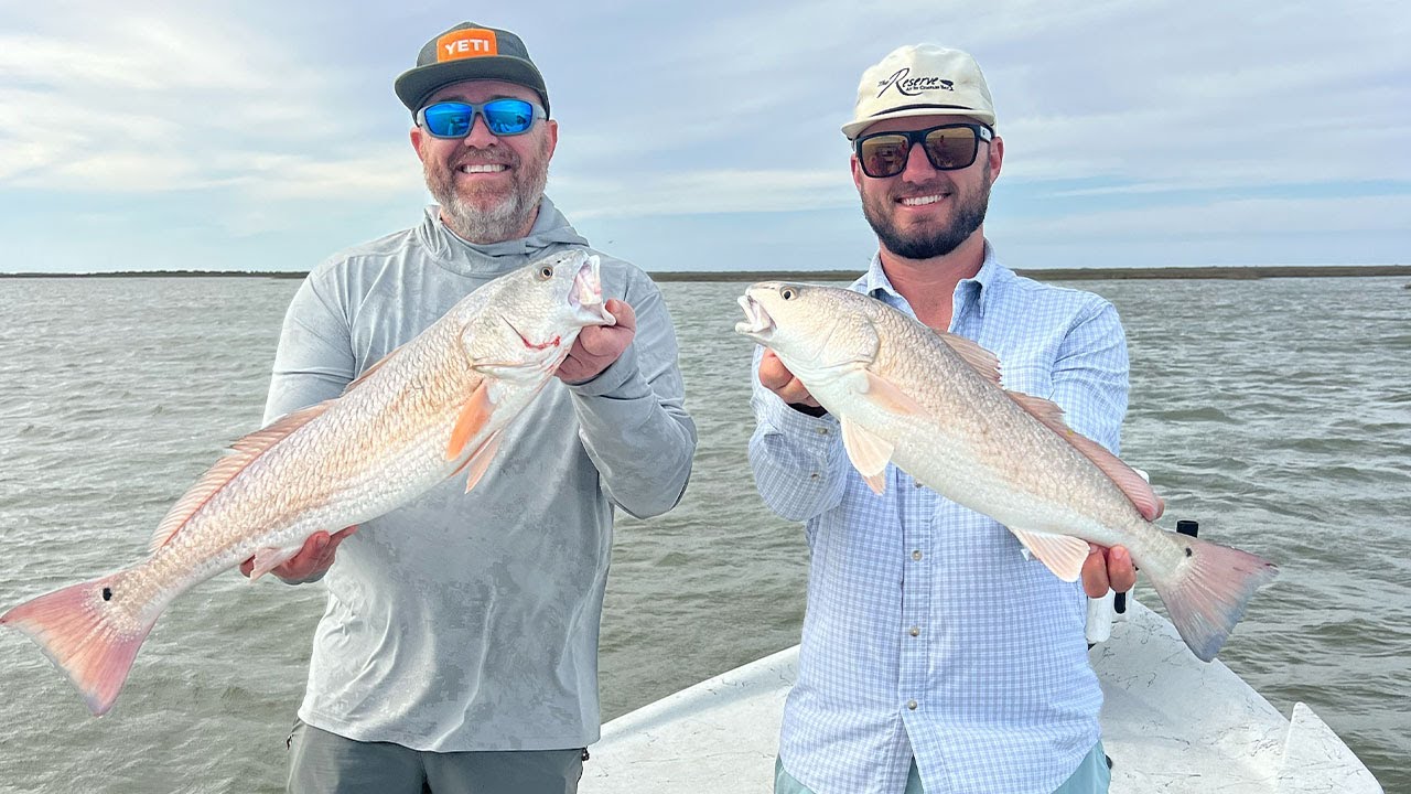 Fishing With LIVE SHRIMP| Fish On Every Cast (Catch Clean Cook)