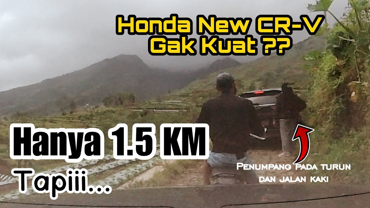 Info Penting !! Jalan Menuju Bukit Cinta Lembah Seroja & Bagas Luxury Camp Wonosobo