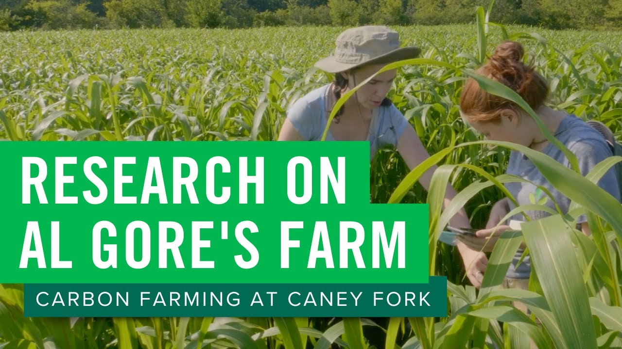 Pioneering carbon research at Al Gore&rsquo;s Caney Fork Farms | Skidmore College