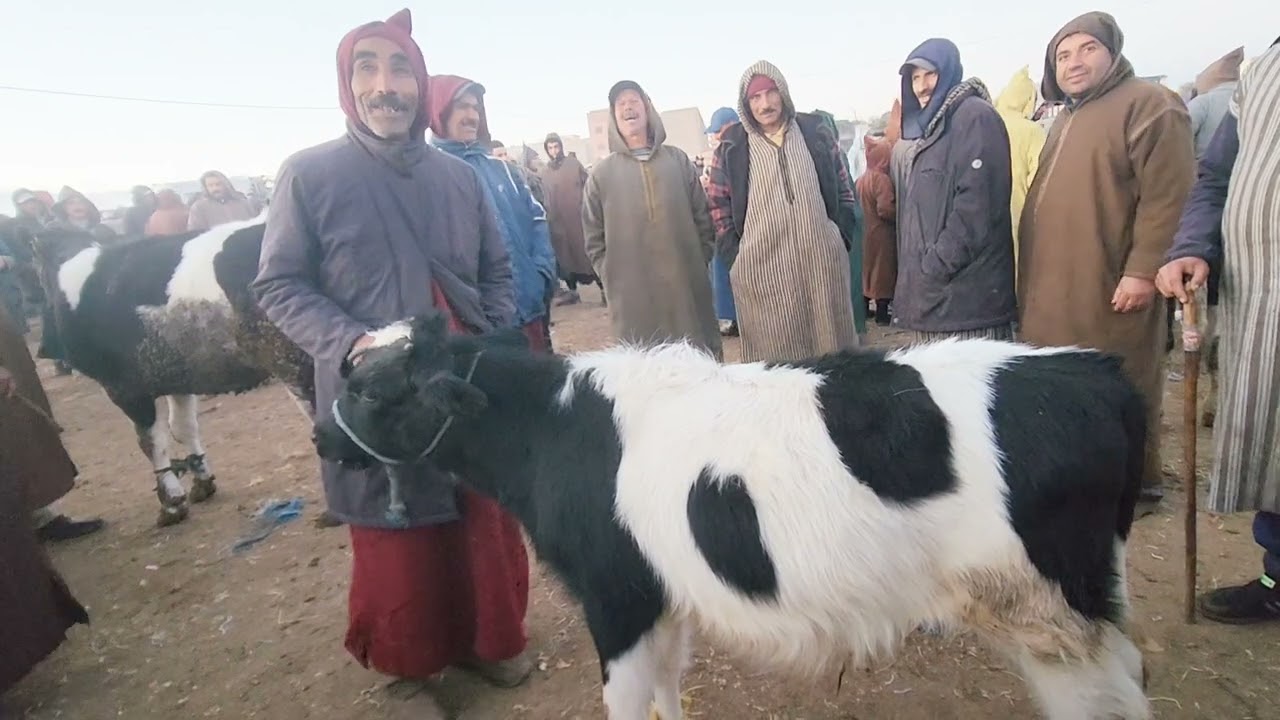 🇲🇦خيرات موجودة في سوق الأسبوعي تلات لولاد فيني نقدم لكم أتمنة بكرات تاريخ تصوير 10/12/2024