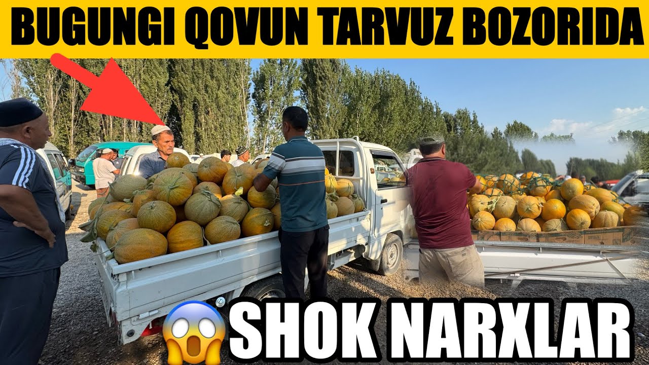 Namangan Mingbuloq jamashuy qovun bozori bugungi narhlari 2025