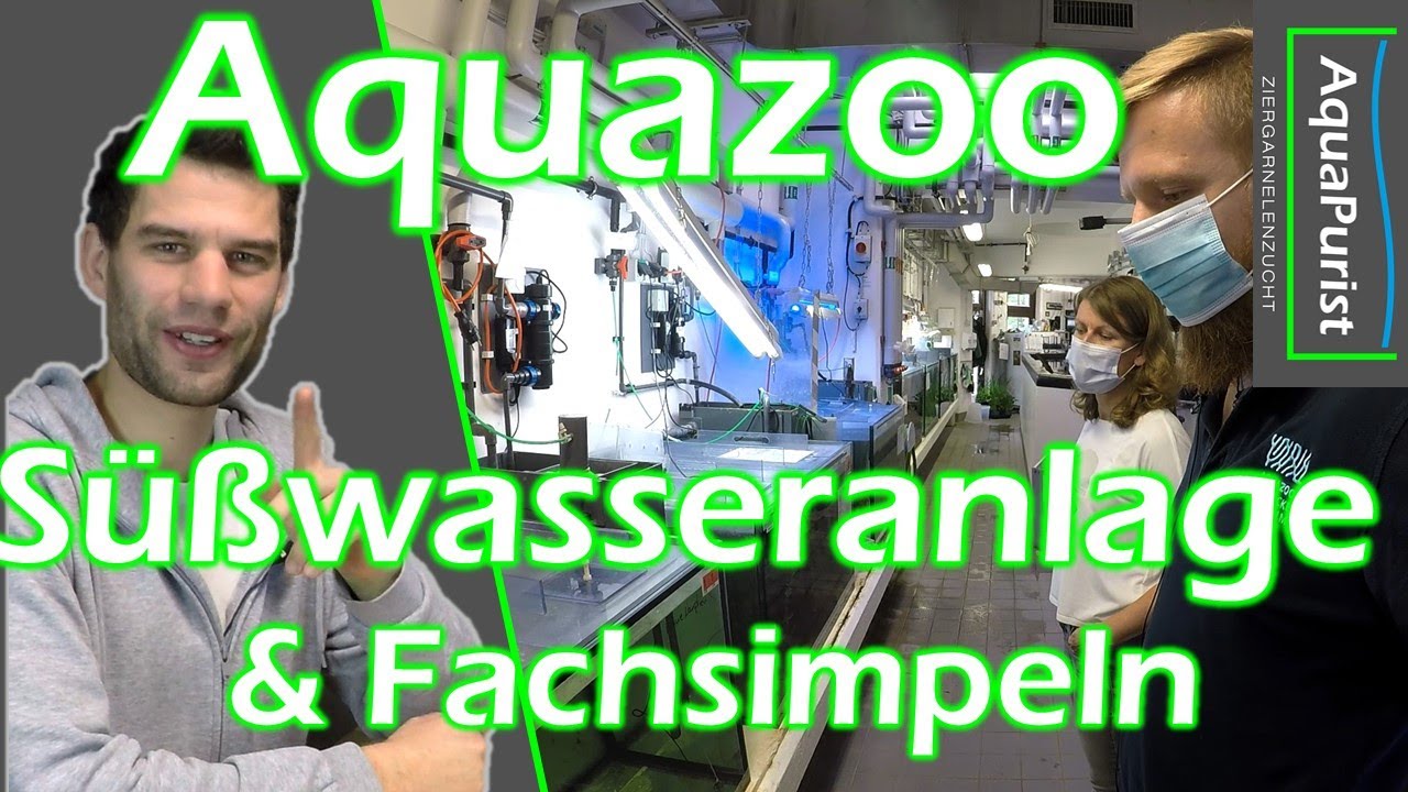 Aquazoo Düsseldorf: Rundgang hinter den Kulissen und Fachsimpeln im Süßwasserbereich