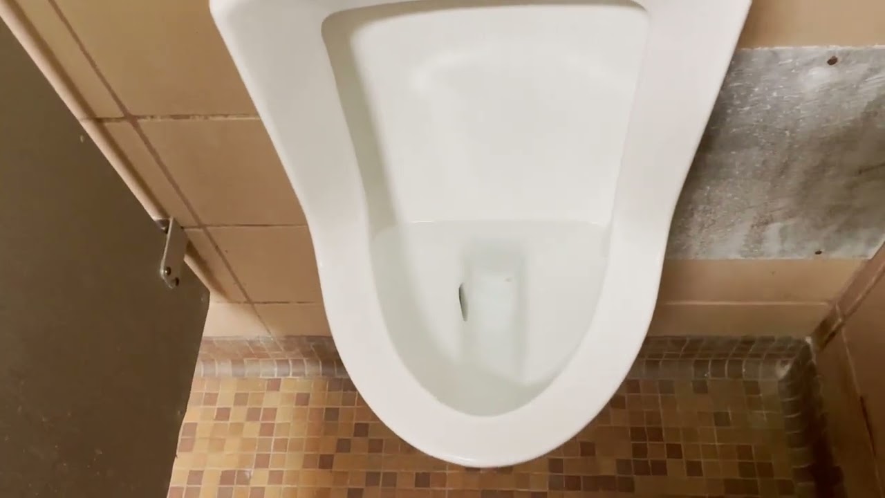 1. I'm back! 1970's Eljer Auburn toilet and Dover urinal at Park!