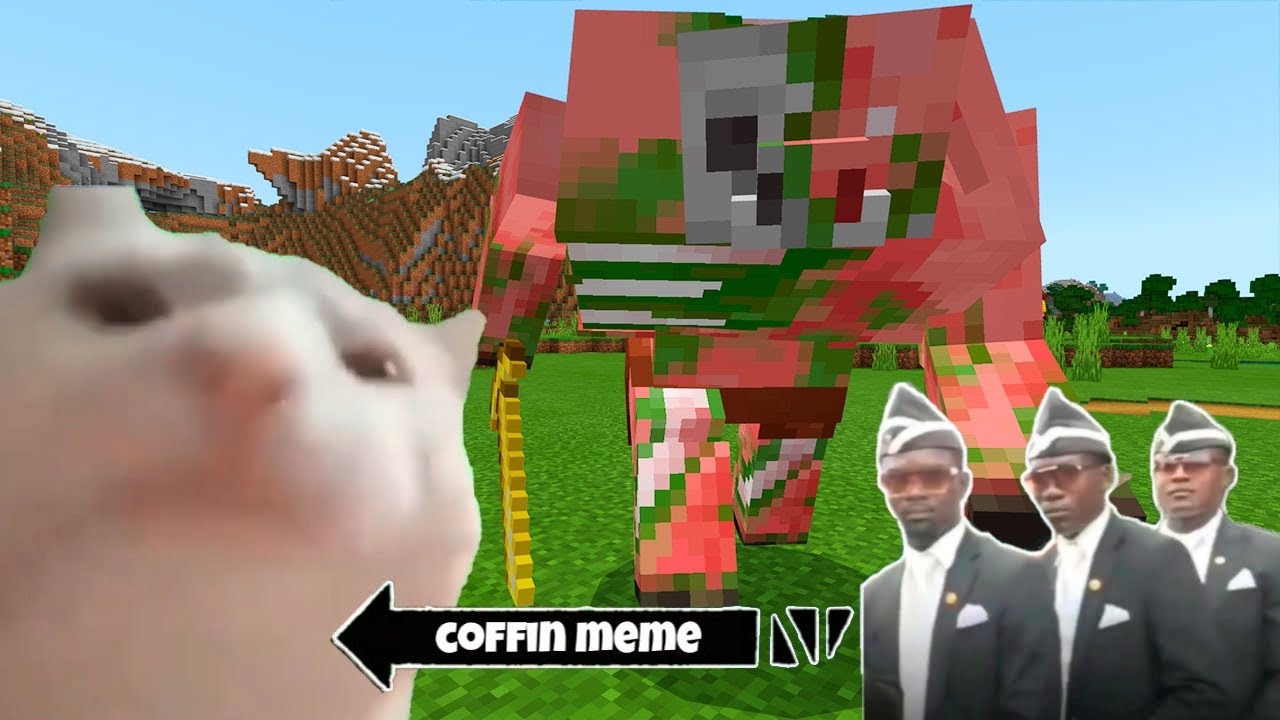 Coffin Meme but Cat is Vibing Part 8 - Minecraft