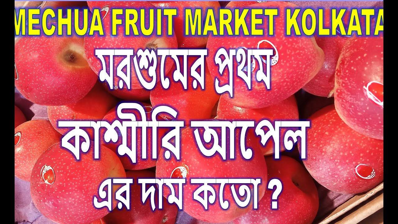 Mechua Wholesale Fruit Market Kolkata | Apple Fruit | Kolkata Wholesale Market | Fruits | Kolkata