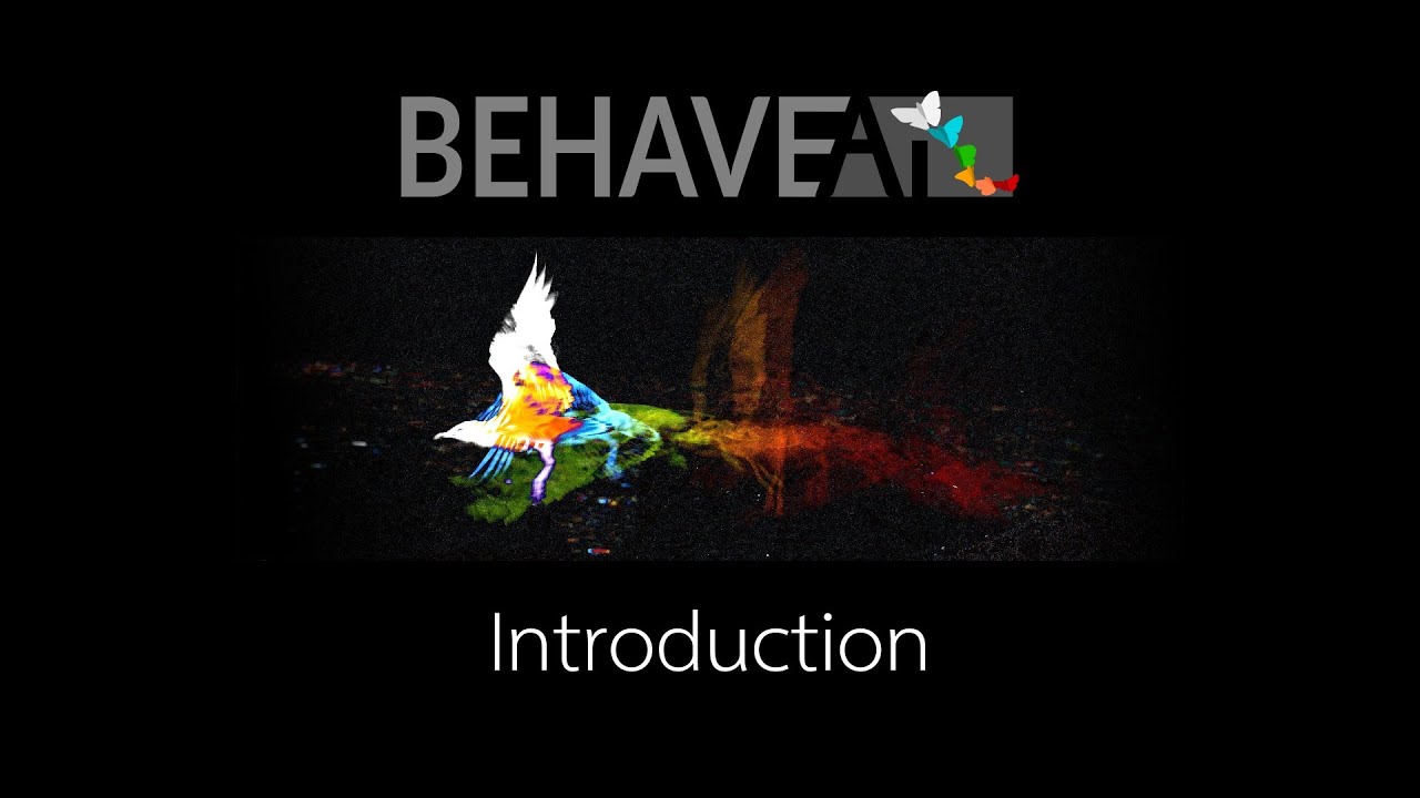BehaveAI Introduction