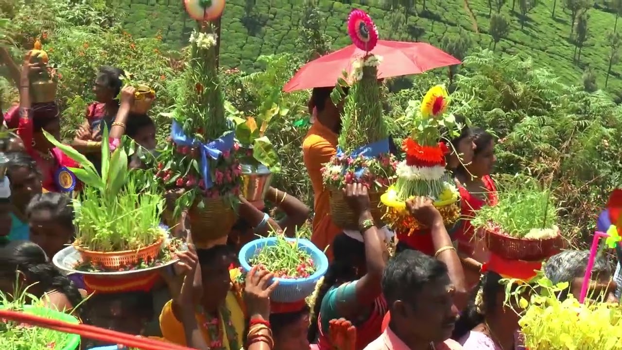 மேல் பாரதி நகர் ஸ்ரீ முத்துமாரி அம்மன் திரு கோவில் கும்பாபிஷேகம் பெருவிழா 2025 குன்னூர் Part-2