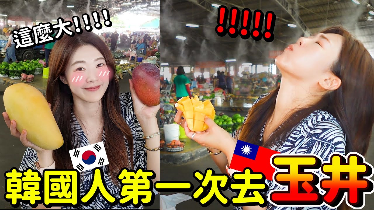 韓國人掉進芒果海裡了！沒看過這麼大芒果！！대만 위징 망고시장!!세상 본적없는 사이즈의 망고!!!!!