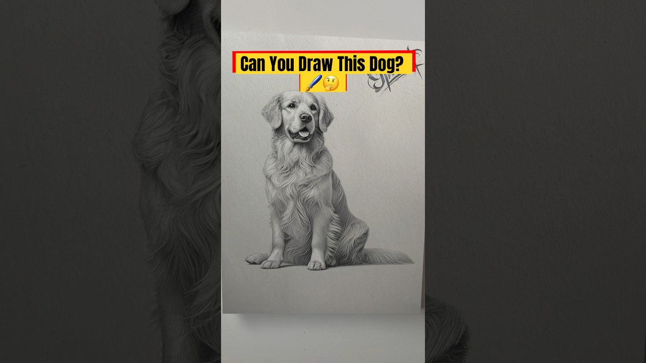 7 Levels of Dog Drawing - From Sketch to Pro #shorts