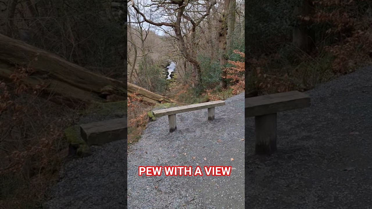 PEW WITH A VIEW 