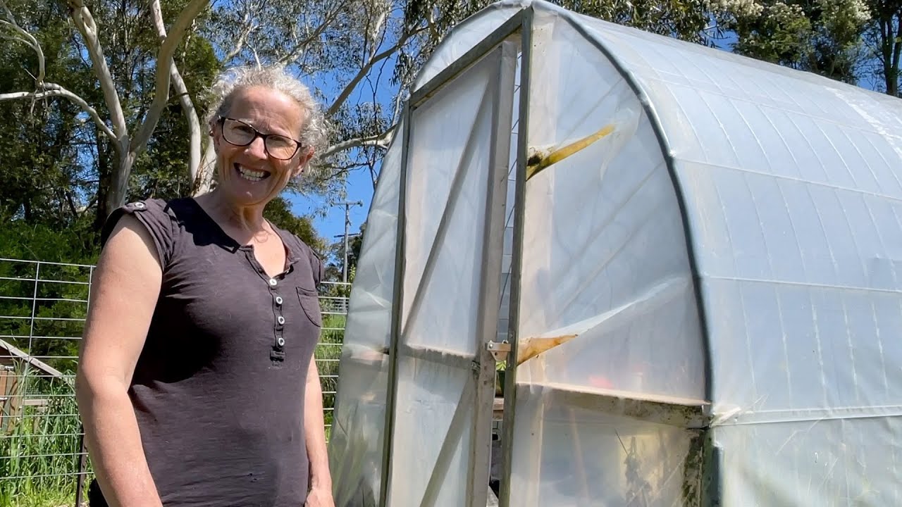 Finding the Overwintered Peppers with a Greenhouse Clean Out | Permaculture Living