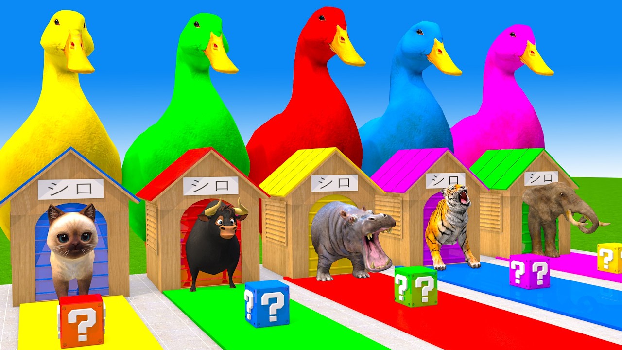 Long Slide Game With Cow Elephant Gorilla Hippopotamus Tiger 3d Animal Game Funny 3d Animals