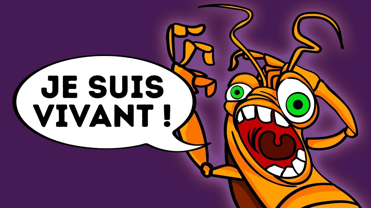 Pourquoi Est-il si Difficile de Tuer Les Cafards ?
