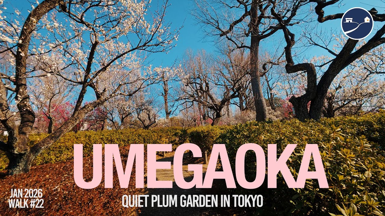 Early Spring Morning in Tokyo | Walking Through Umegaoka Plum Garden & Quiet Streets