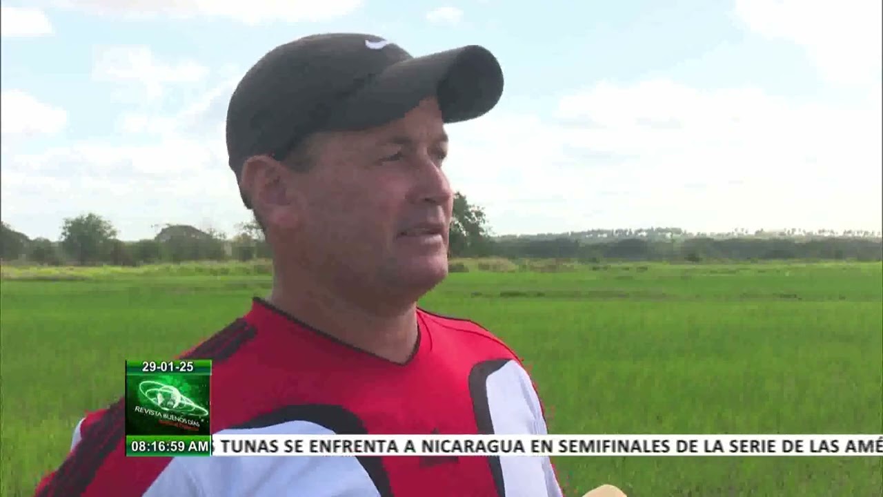 Cuba: Producci&oacute;n de arroz en municipio de Amancio