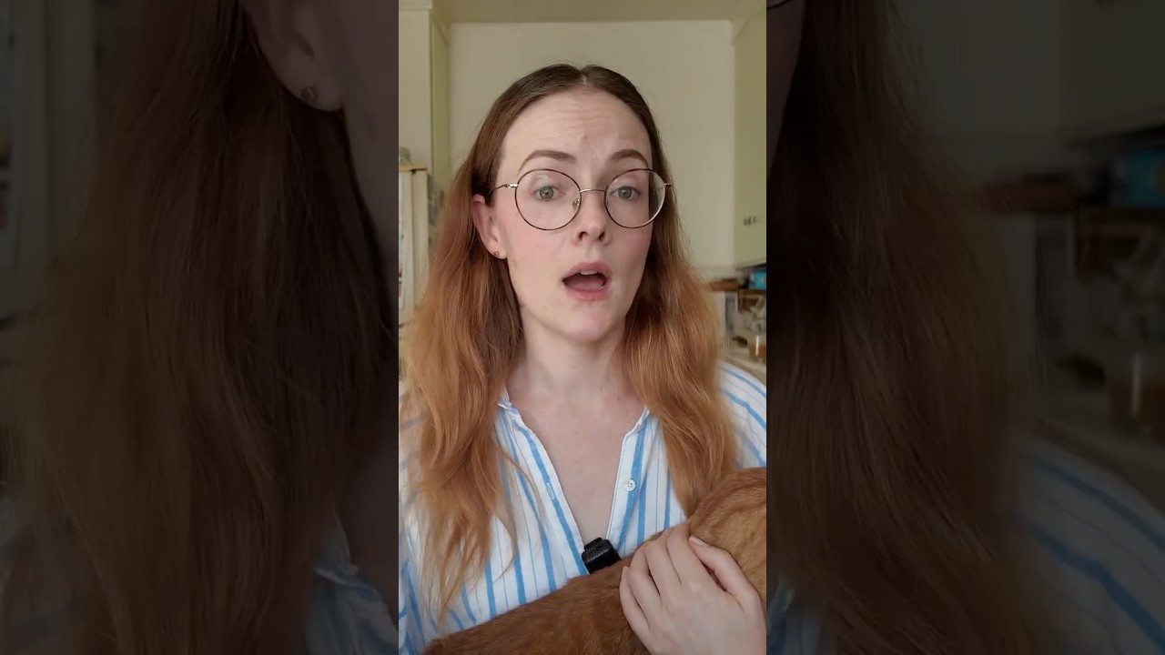 Building departments don't allow Calearth Domes!