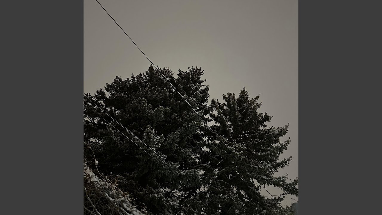 stories