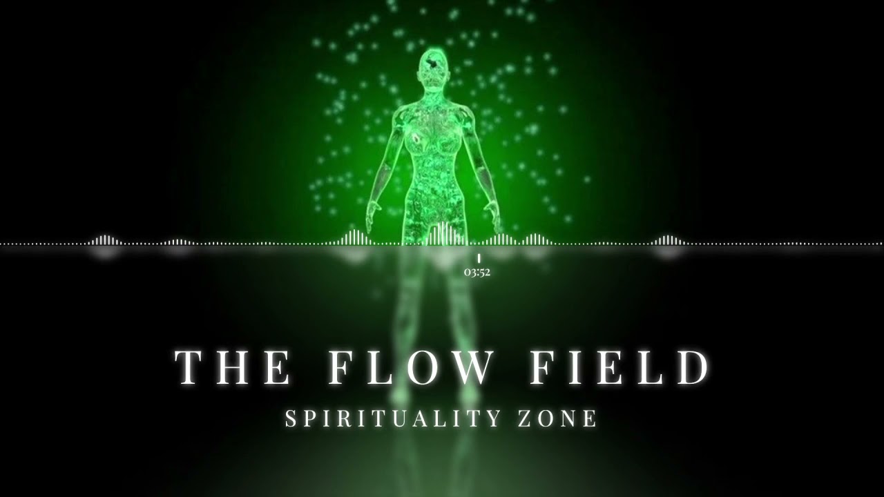 The Flow Field
