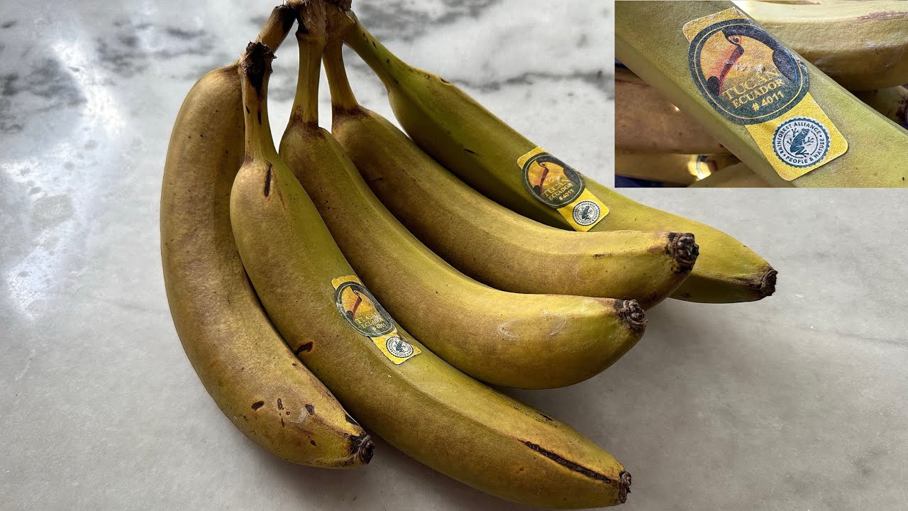 Die Bananen mit dem Frosch von Lidl / Rainforest Alliance