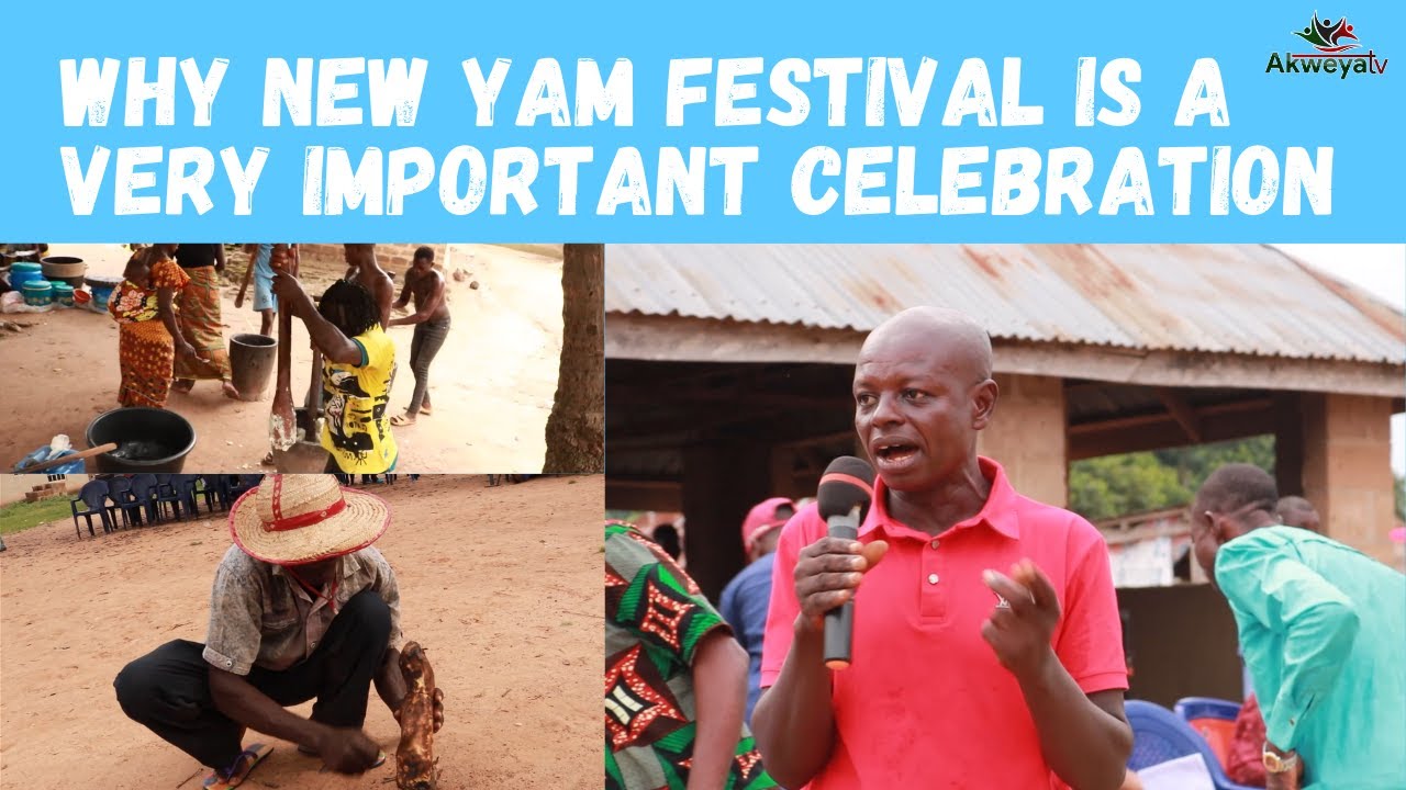ADIM: WHY NEW YAM FESTIVAL IS AN IMPORTANT CELEBRATION IN NIGERIA