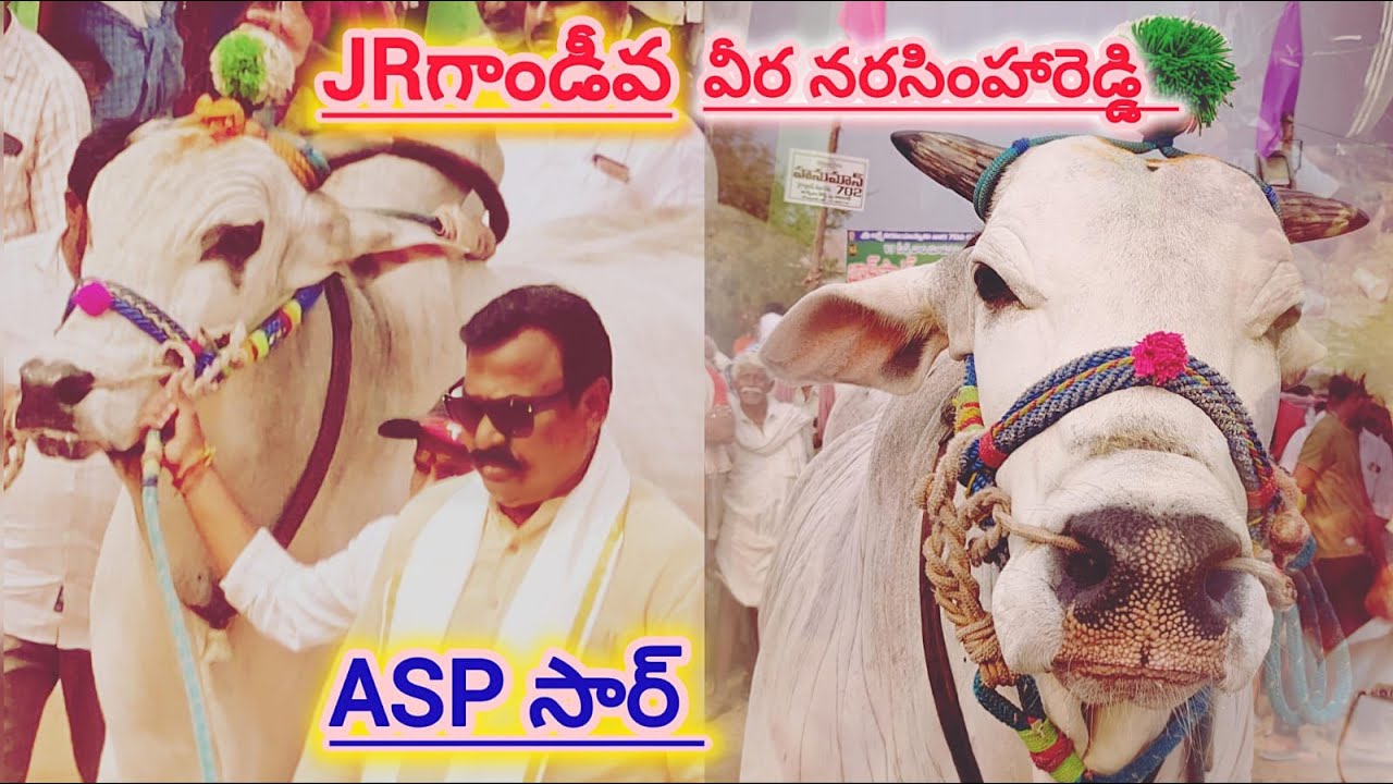 💥ఆకులగణపవరం సీనియర్స్ లో💥6వజత💥సుంకి సురేందర్ రెడ్డి💫గారి JRగాండీవ💥వీరనరసింహారెడ్డి🌟