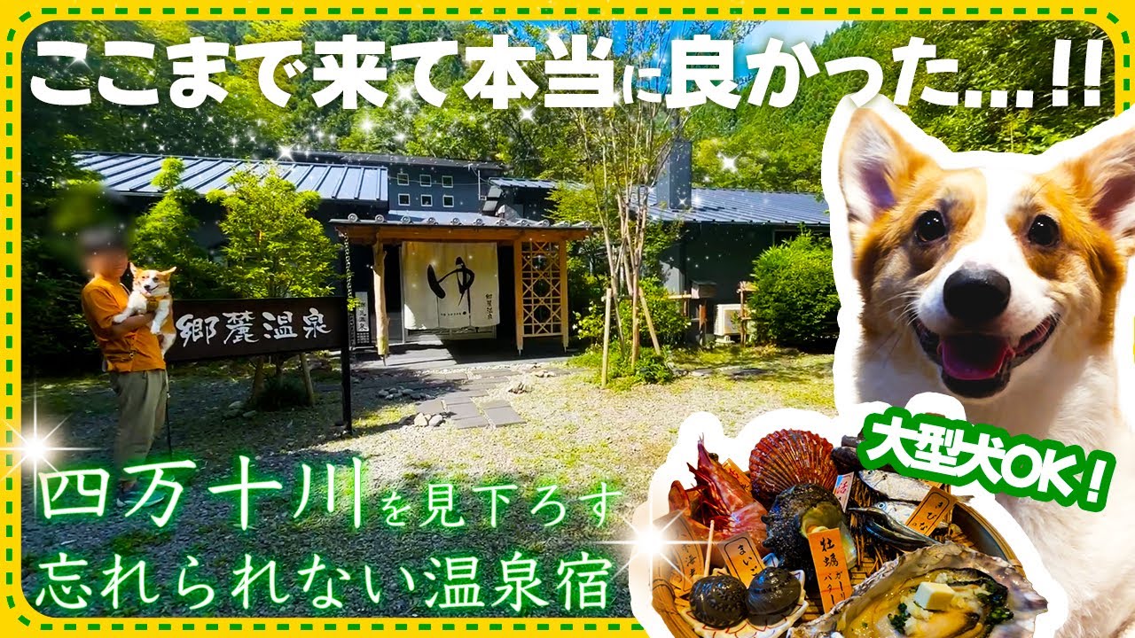 【犬と泊まれる高知の宿】温泉&times;食事&times;絶景、全部感動した宿【郷麓温泉】
