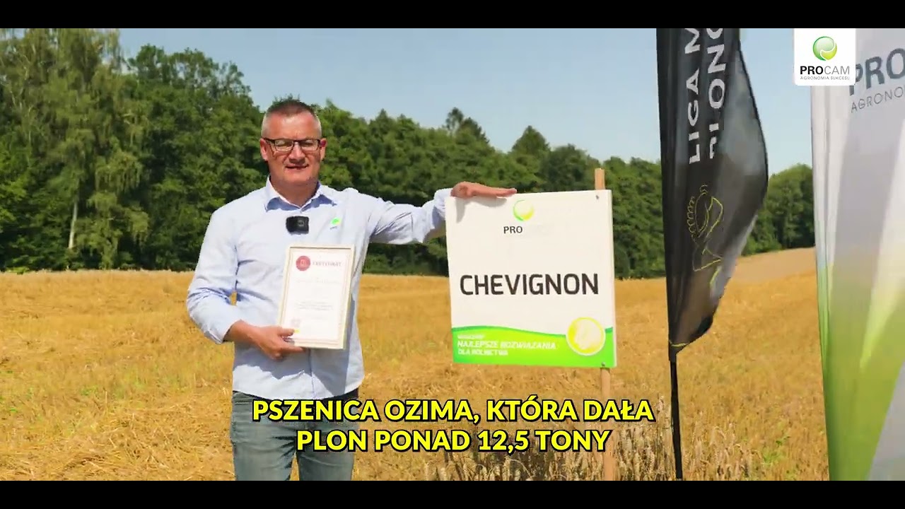 Pszenica Chevignon 12,478 t/ha Liga Mistrz&oacute;w Plonowania PROCAM