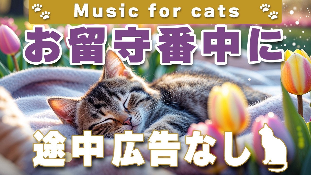 猫が落ち着く音楽｜留守番中も安心できるBGM（12時間・途中広告なし）Relaxing Music for Cats | No Ads | 12 Hours _vol.353