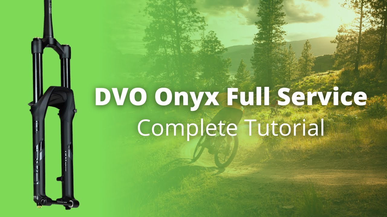 DVO Onyx SC D1 Complete 100 Hour Service - How To