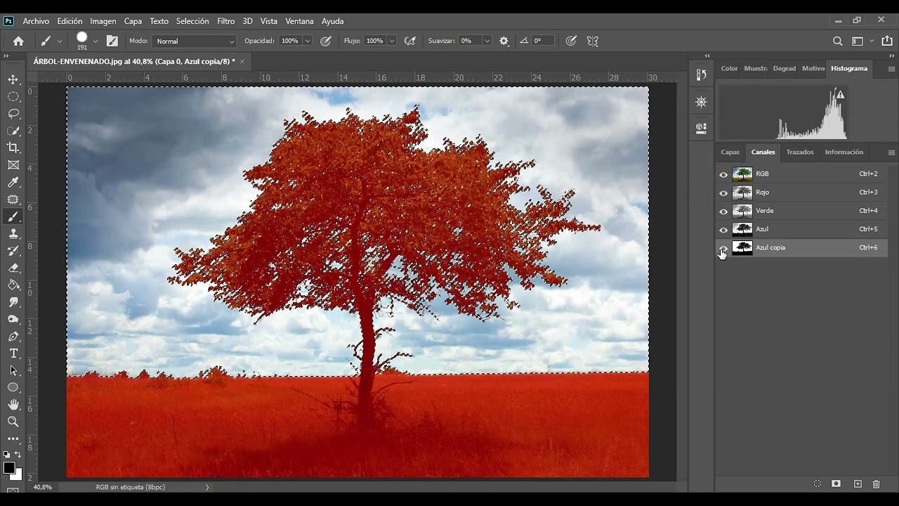 SELECCION MEDIANTE CANALES - Adobe Photoshop