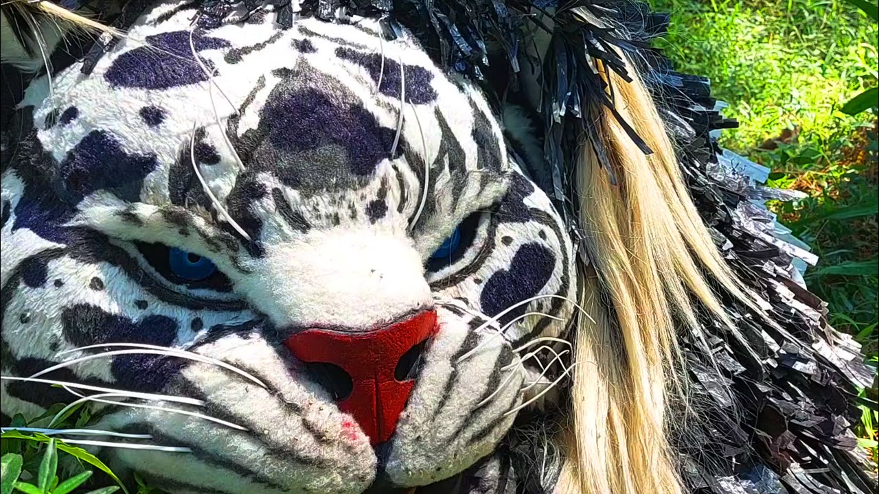 Can Macanan Macan Singo Manggala Atraksi Di Wisata Tasnan Bondowoso | MC HD