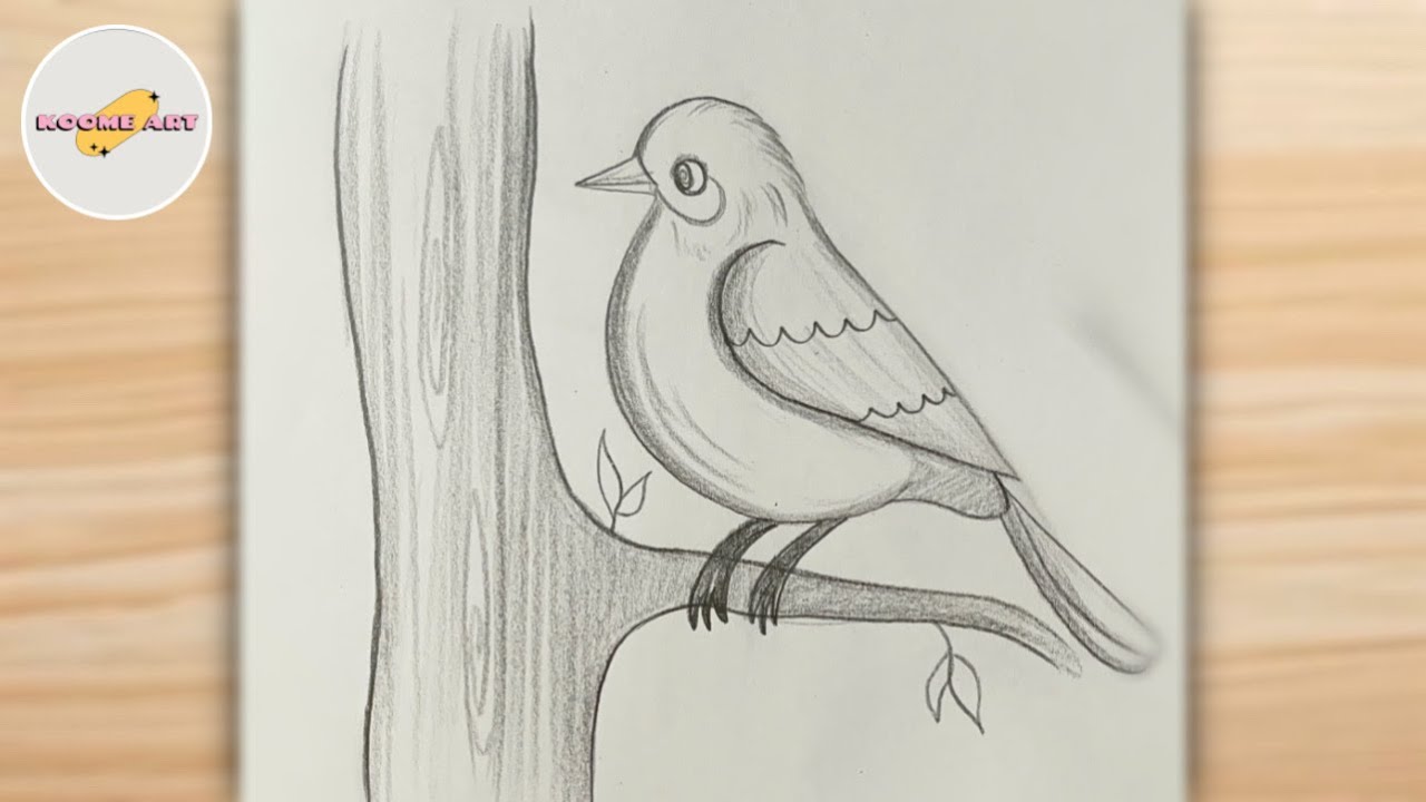Unlock your drawing skills ! Drawing of a simple bird easy step by step | sketching for beginners 