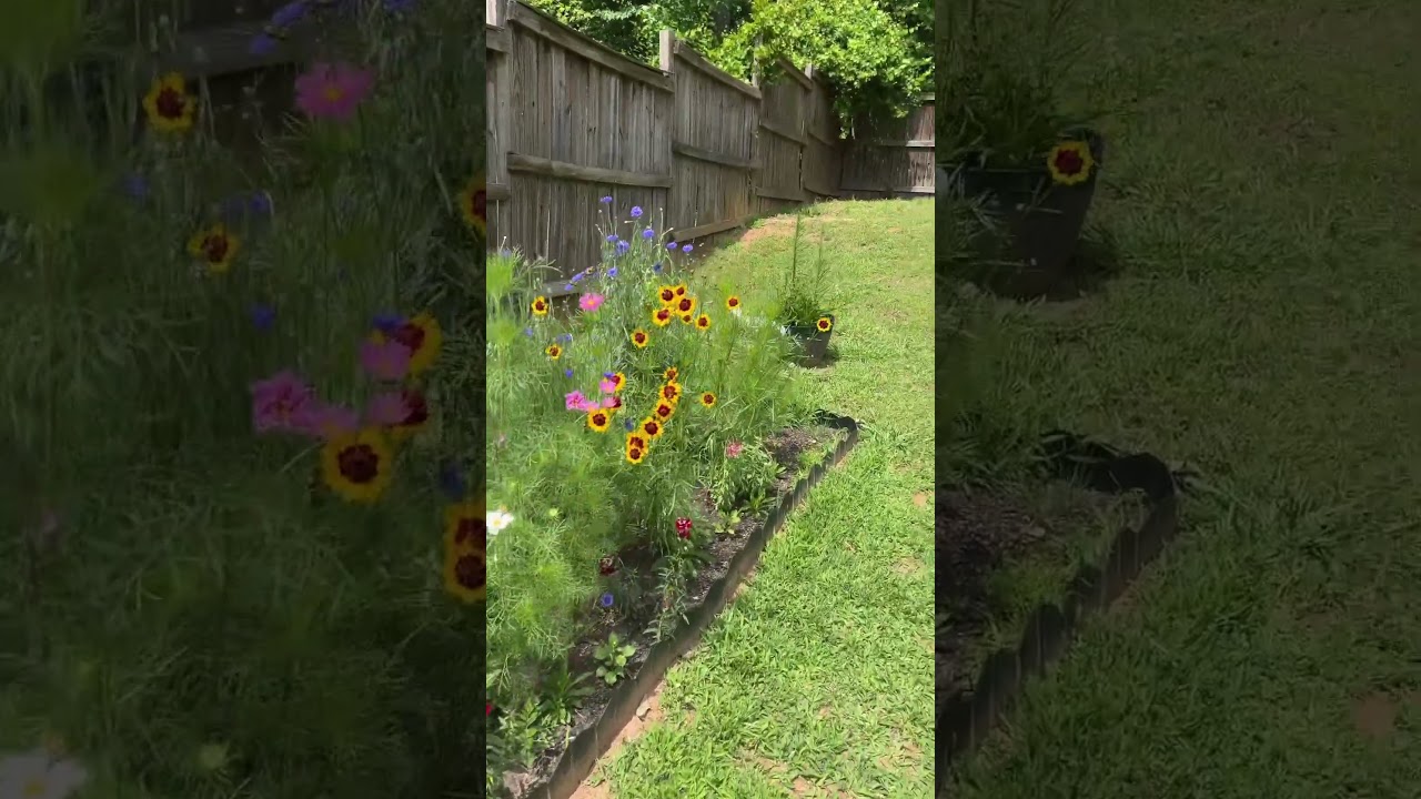 20 foot pollinator garden🦋🐝🐞 