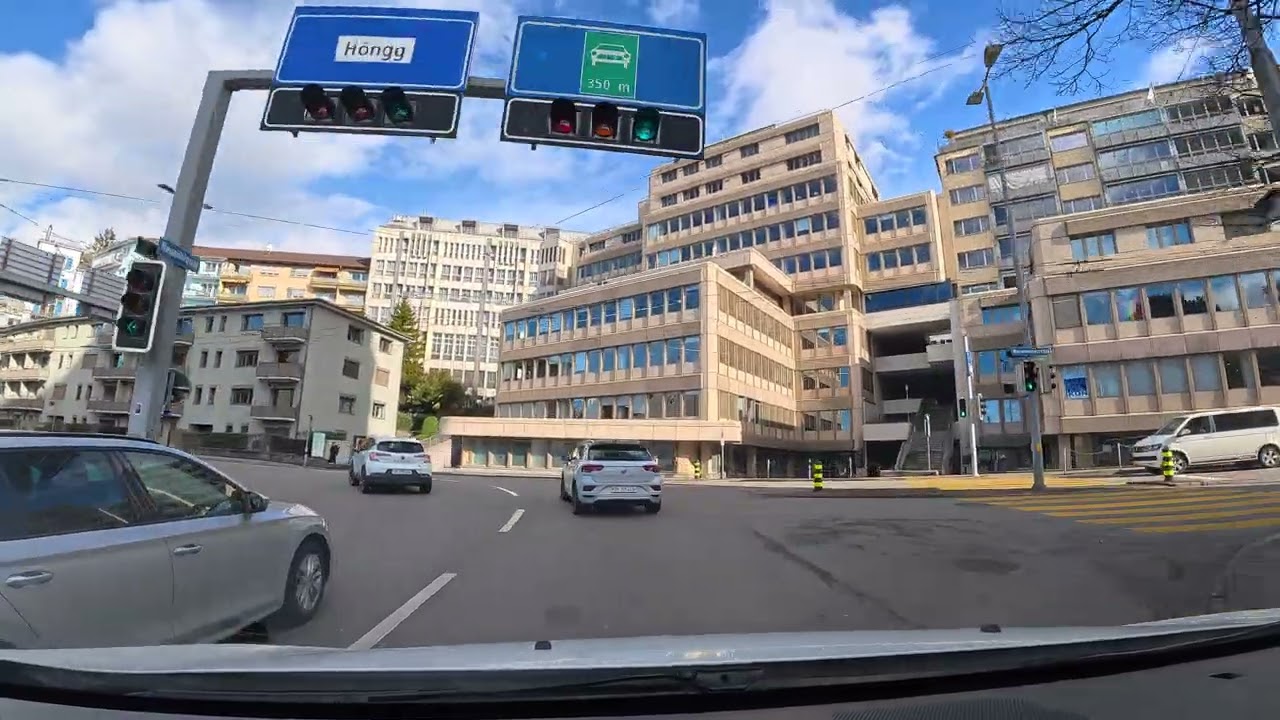 SwissVibeDrive-by King#driving#foryou# 🇨🇭🇨🇭🇨🇭🇨🇭
