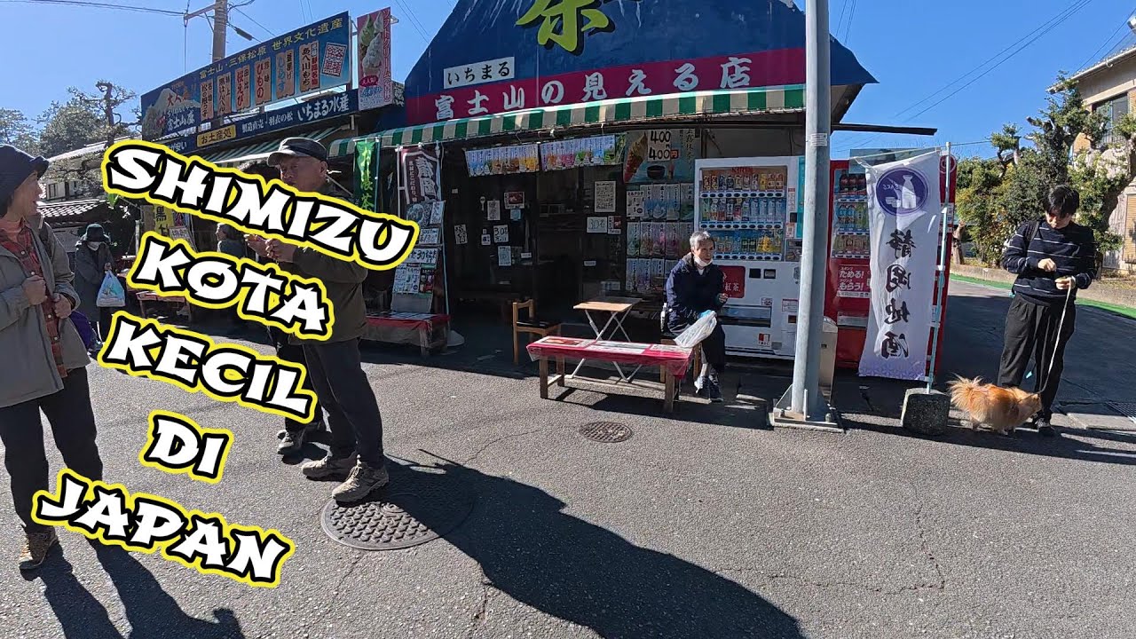 SEHARIAN DI SHIMIZU JAPAN