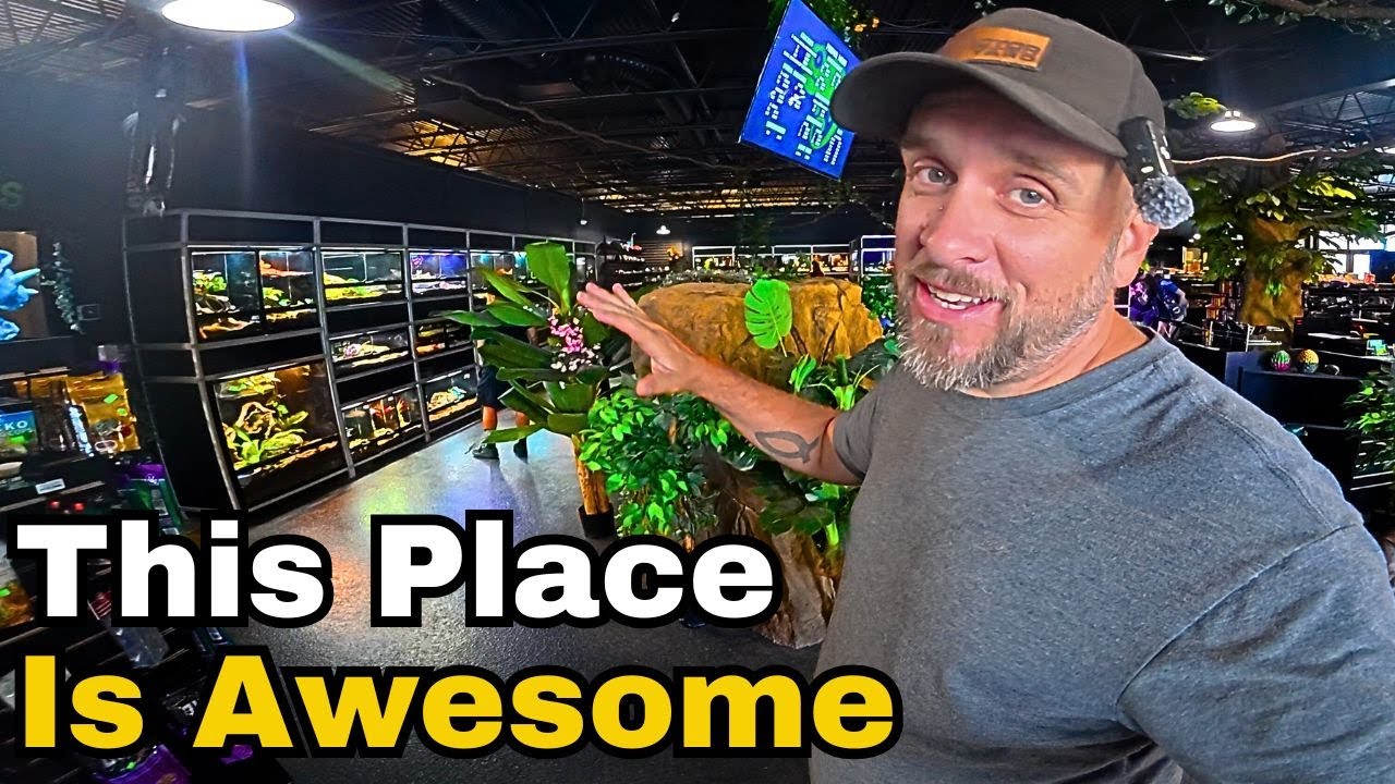 Searching For the Best Aquarium Stores in KC