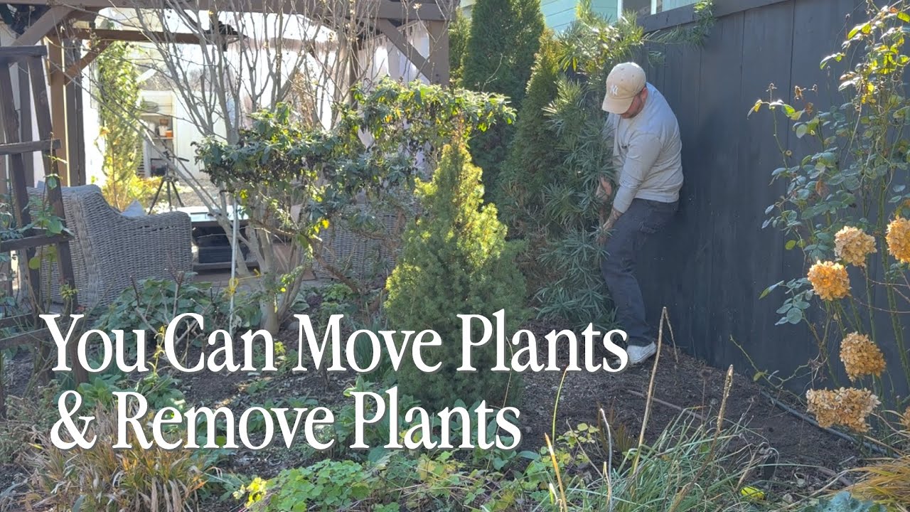 Transplanting a Tree and Removing a Butterfly Bush: A Garden Bed Shuffle || Visit Our Garden