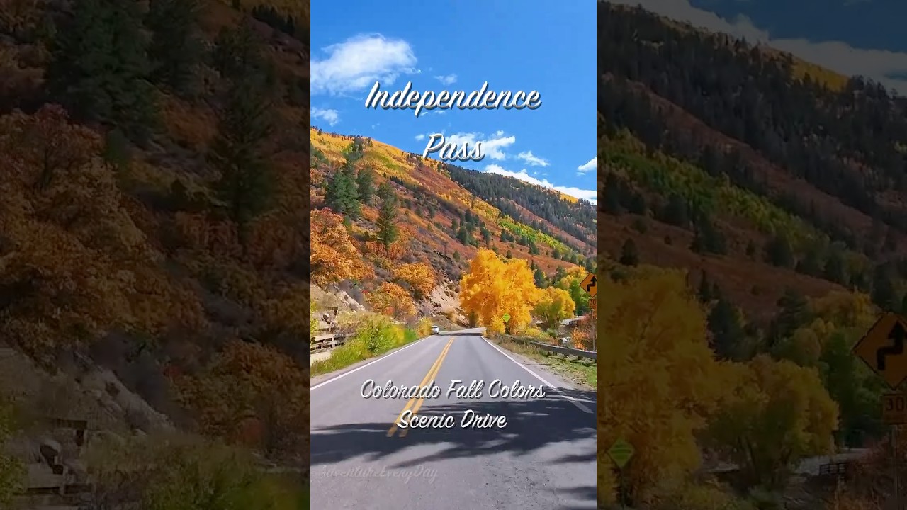 Peak Fall Colors on Independence Pass Colorado