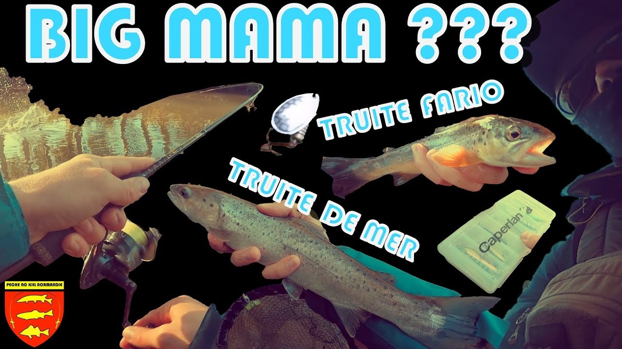 Pêche de la TRUITE DE MER : à la recherche de la Big Mama....