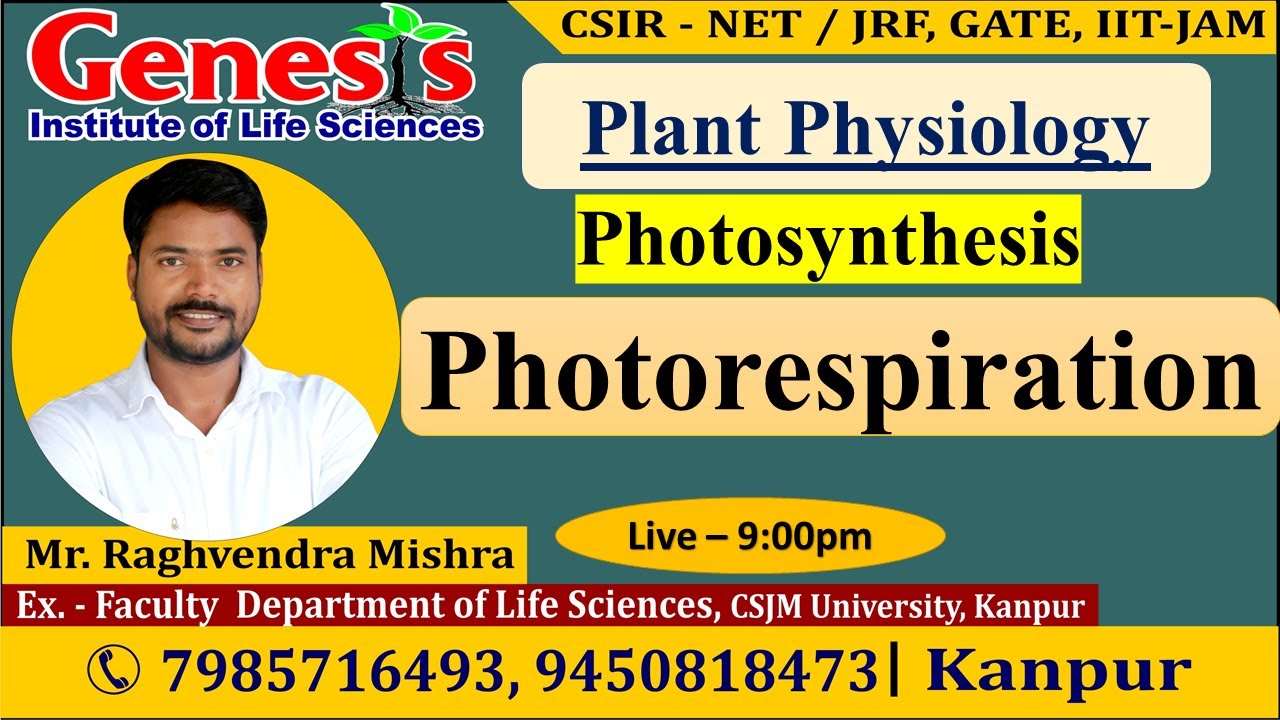 Photosynthesis | Photorespiration | C2 Cycle | Plant Physiology | CSIR NET/JRF | IIT-JAM |