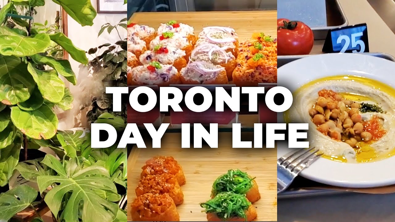 TORONTO BLOG - DAY IN A LIFE