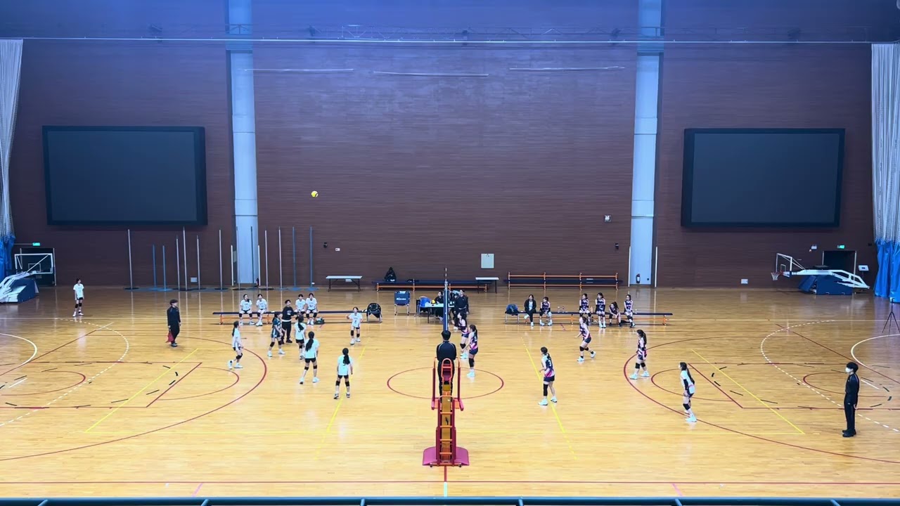 SRL stream vs 嵐朗千 第二局