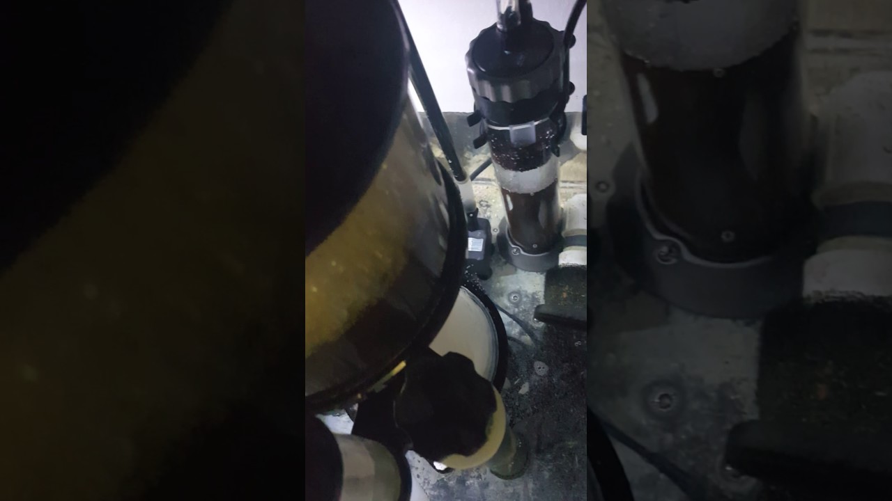 SIMPLICITY 240 DC SKIMMER