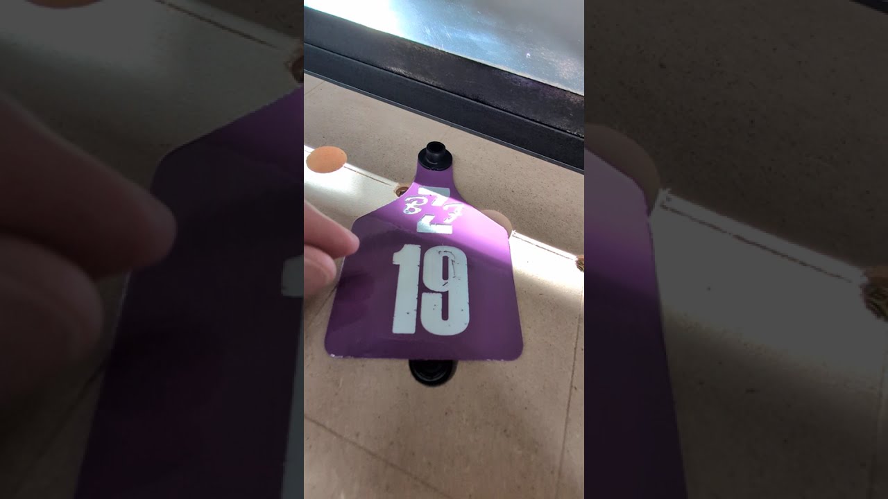 Richey Cattle Tag Carving with Airweights Vacuum Table