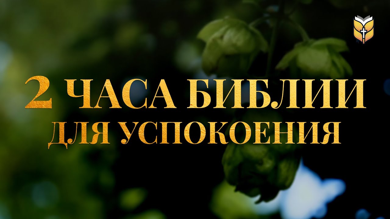 2 часа Библии для успокоения #библия #biblevision biblevision