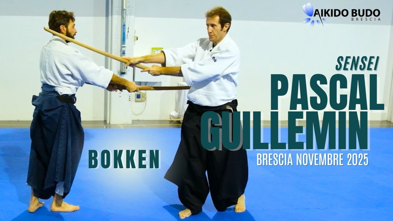 Pascal Guillemin: seminar in Brescia novembre 2025-bokken lesson